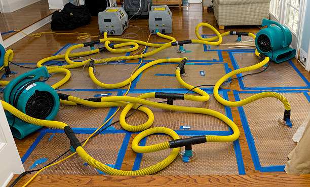 Professional Crawl Space Water Removal technician working in Eland, WI